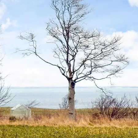 8 Person In 度假居