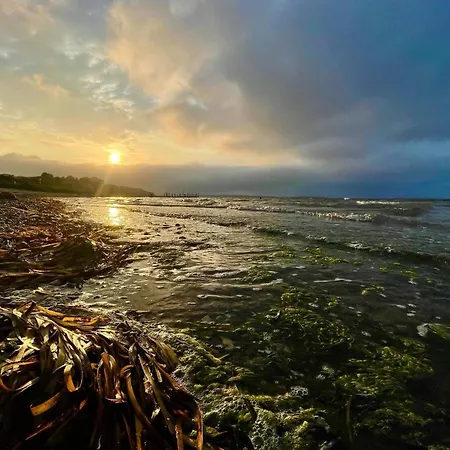 8 Person In 度假居
