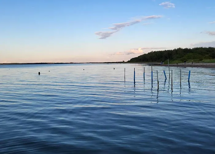 8 Person In *